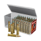 .22 WMR