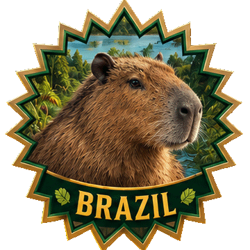 Карта Бразилія (Brazil)